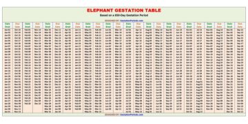Elephant Gestation Table / Chart