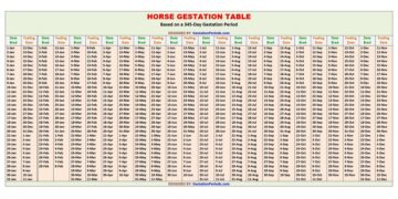 Horse Gestation Calculator and Chart