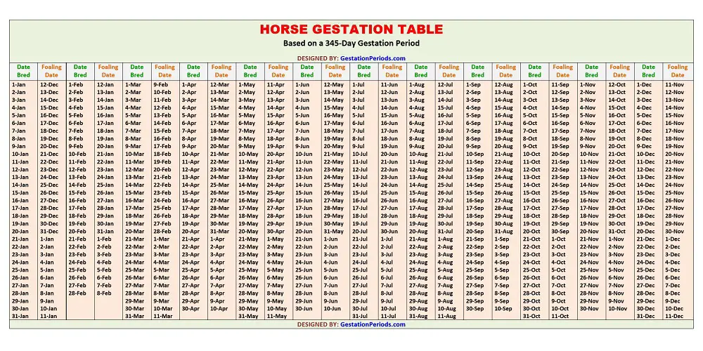 Horse Gestation Table