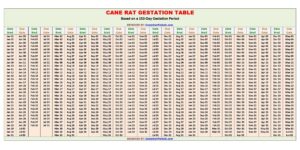 Cane Rat Gestation Table / Chart