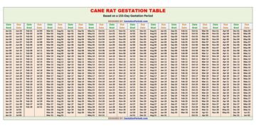Cane Rat Gestation Calculator and Chart