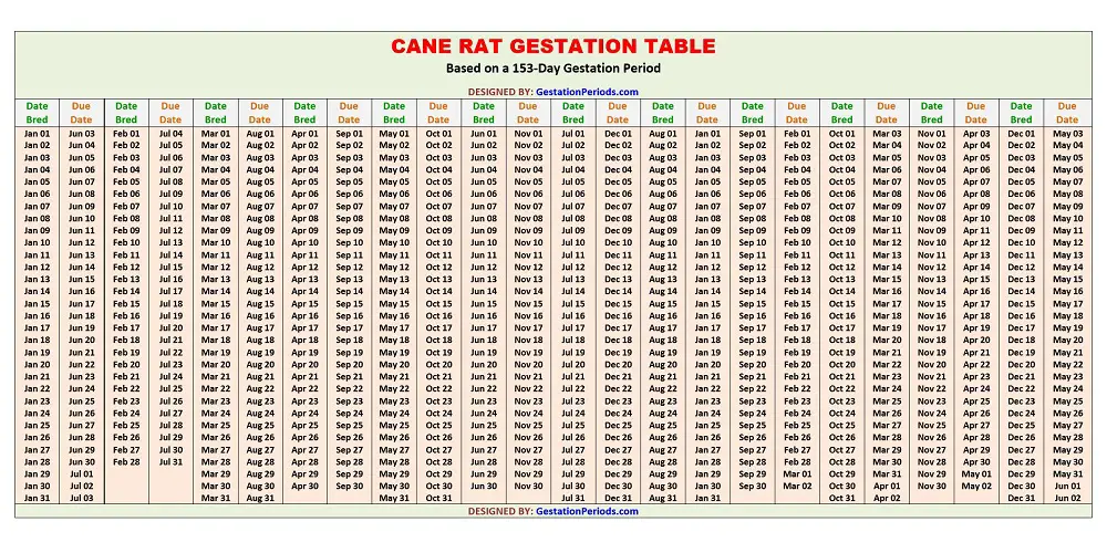 Cane Rat Gestation Table / Chart