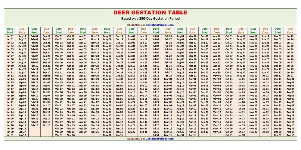 Deer Gestation Table / Chart