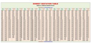 Donkey Gestation Calculator and Chart