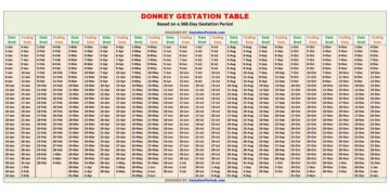 Donkey Gestation Table / Chart