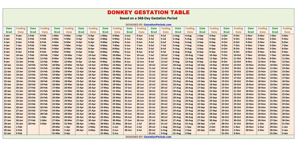Donkey Gestation Table