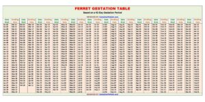 Ferret Gestation Calculator and Chart