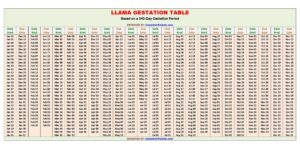 Llama Gestation Calculator and Chart