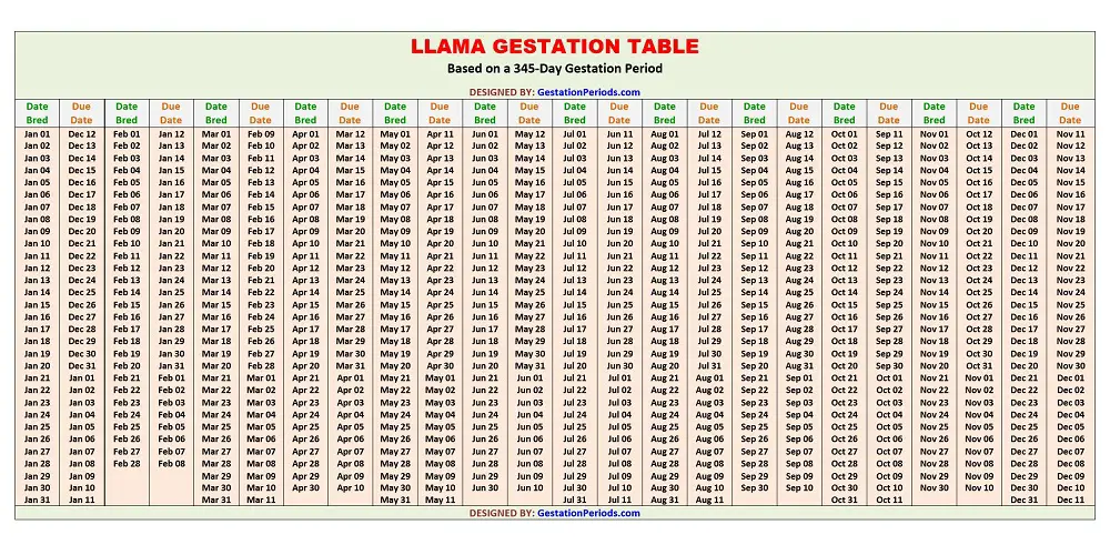 Llama Gestation Table / Chart