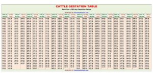 Cattle Gestation Chart and Calculator