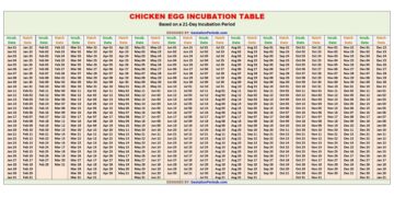 Chicken Egg Incubation Table / Chart
