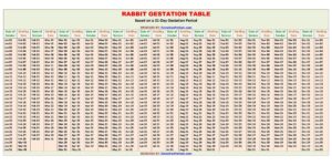 Rabbit Gestation Calculator and Chart