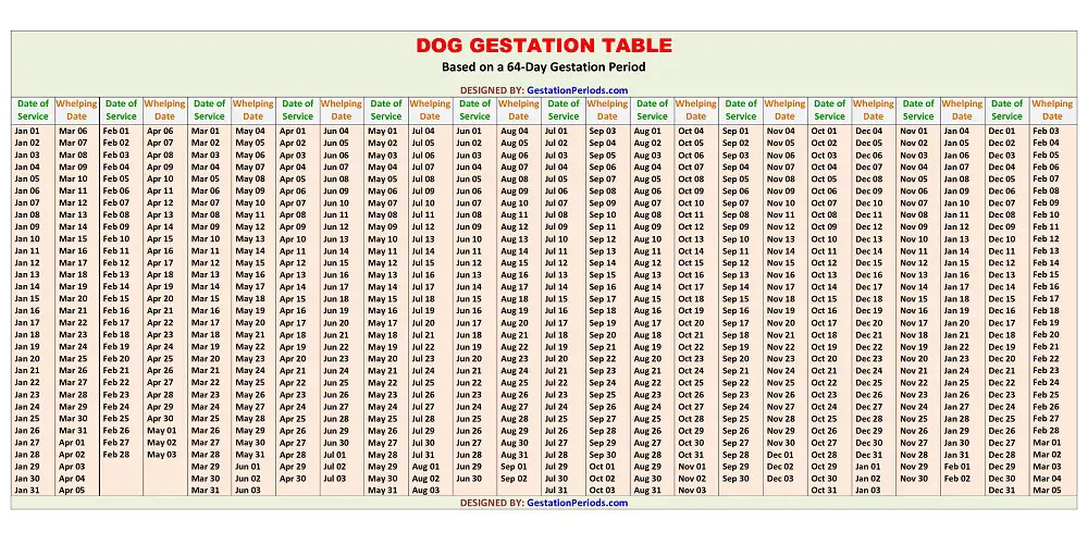 Dog Gestation Table / Chart