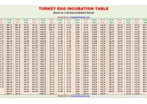 Turkey Egg Incubation Calculator and Chart