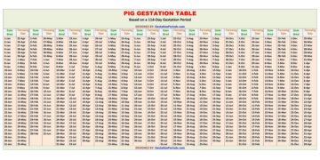 Pig Gestation Calculator and Chart