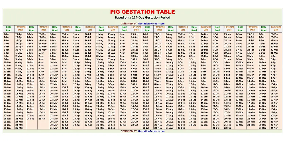 Pig Gestation Table / Chart