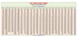Cat Gestation Table