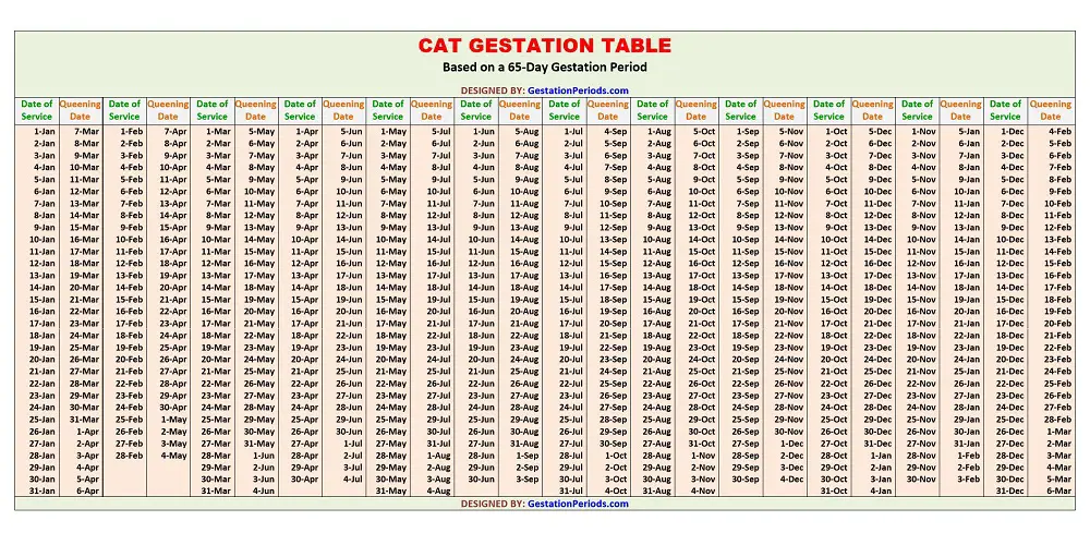 Cat Gestation Table / Chart