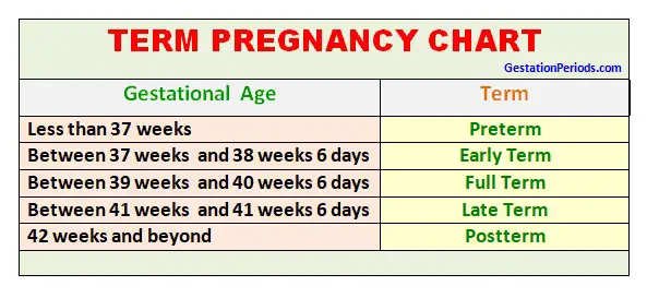 Term Pregnancy Chart