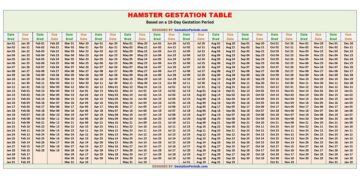 Hamster Gestation Table