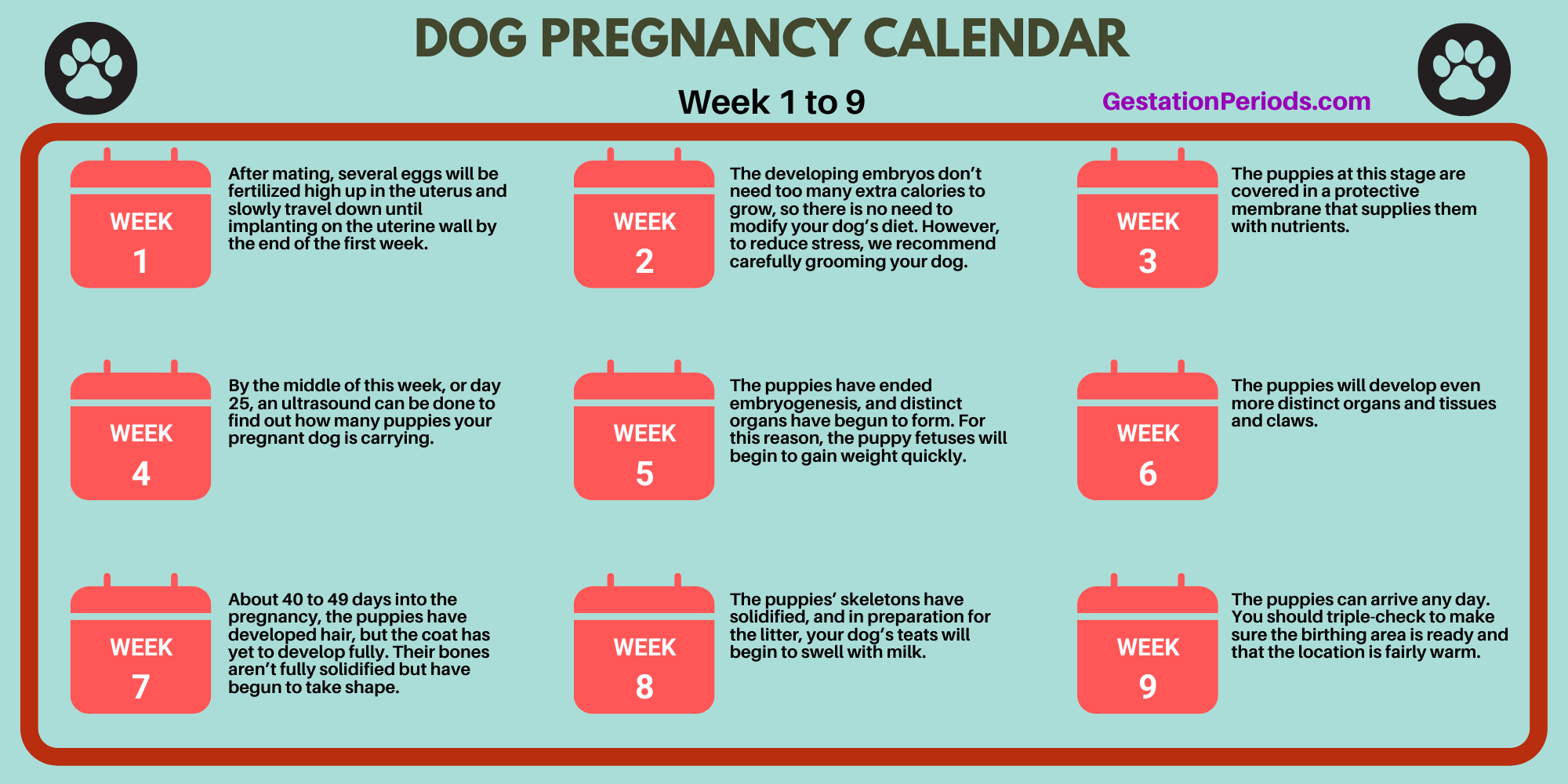 German Shepherd Gestation Calculator & Pregnancy Calendar [Printable