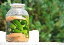 Why Do Pregnant Women Crave Pickles? Top 4 Reasons Explained