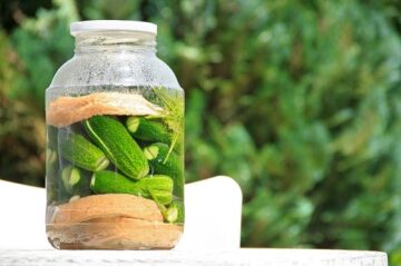 pregnant women crave pickles